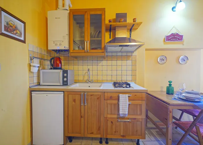 Gest Short Rent Siena 1