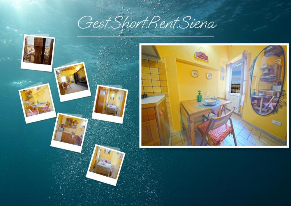 Gest Short Rent 1